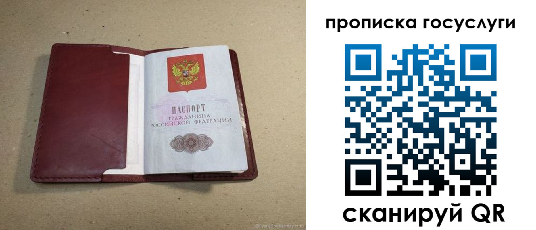 прописка поиск в Малоярославце